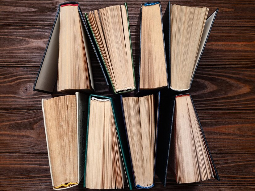 Aviation-themed books